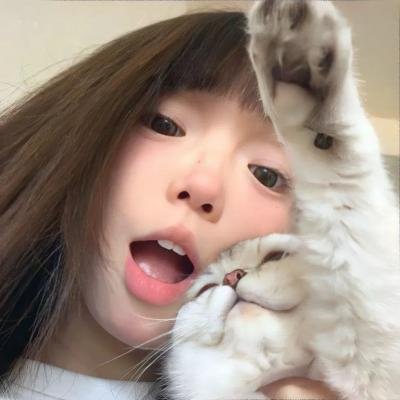 沉默的伙伴